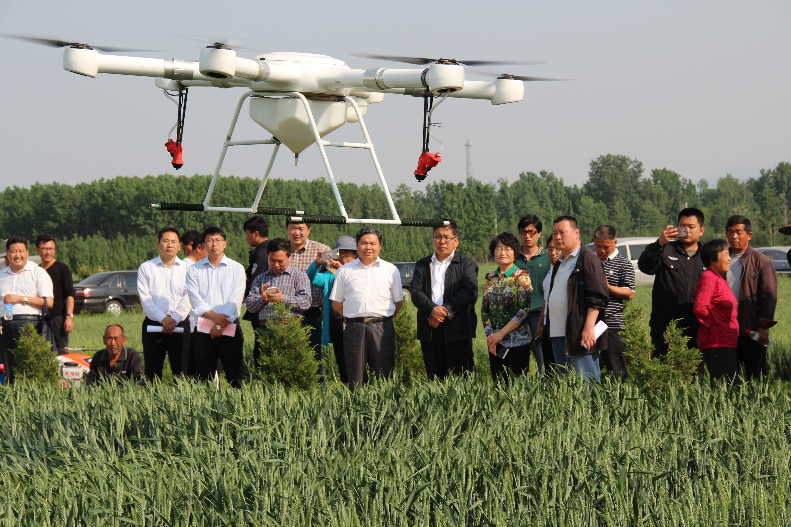 ȫ���ش󲡳�ͳ��ͳ����С�����ڲ��溦�����ֳ���